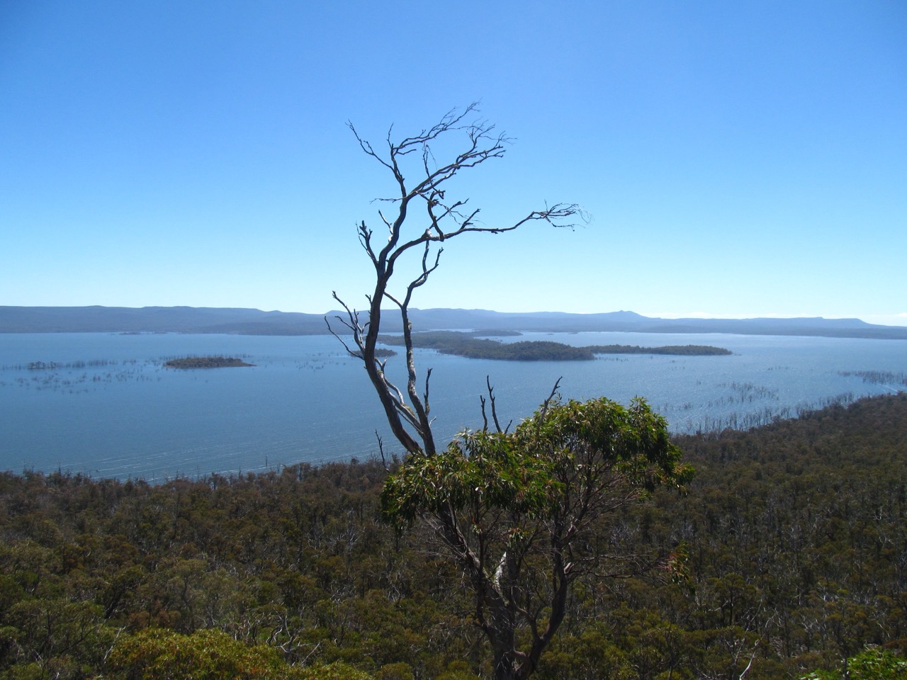 Arthurs Lake in Tasmania with open water and low shoreline vegetation