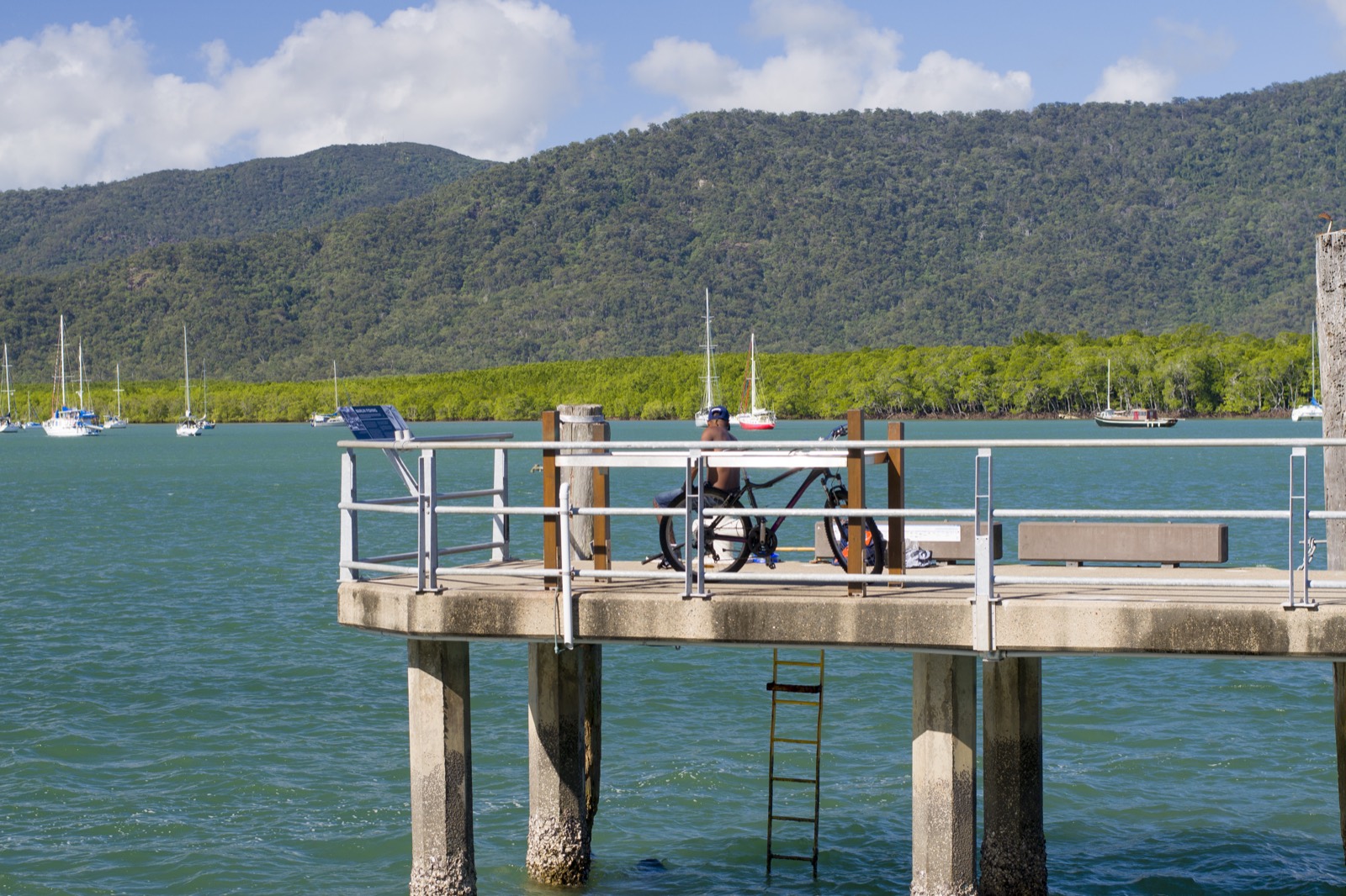 Person fishing from a wharf at Cairns in Queensland