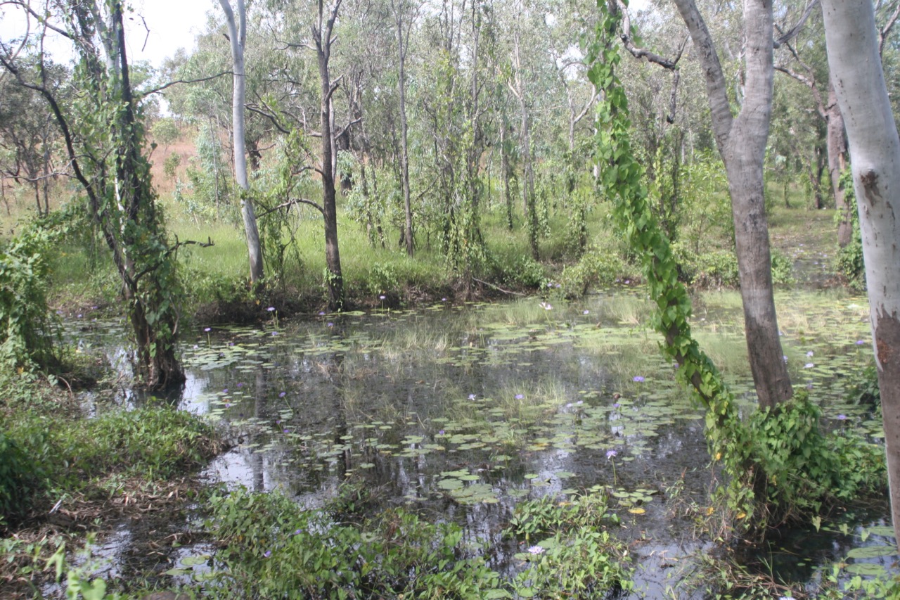 Daly River in the Northern Territory