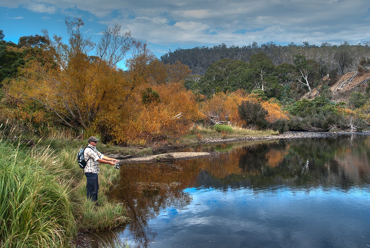 Angler fishing beside a Tasmanian inland waterway bordered by autumn trees